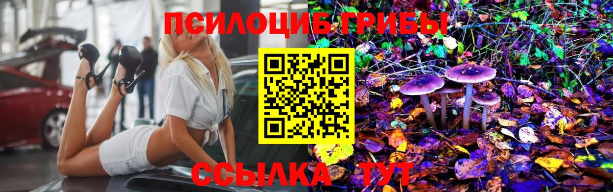 Псилоцибиновые грибы ЛСД Казань